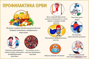 ПАМЯТКА для родителей по профилактике ОРВИ и гриппа у детей ПАМЯТКА для родителей по профилактике ОРВИ и гриппа у детей.